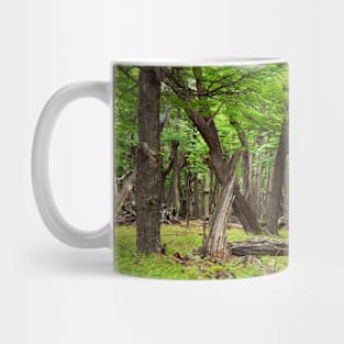 Silence in a timeless forrest Mug